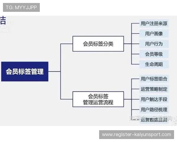 开云网站会员制度与积分奖励机制全面介绍享受专属优惠与尊贵体验