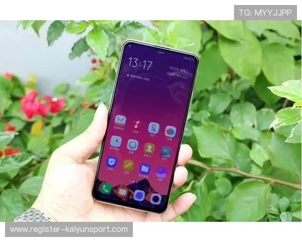 开云体育游戏网址2024最新版本，全面升级带来极致体验